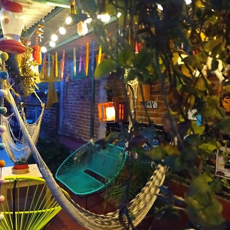 Casa Apapacho Hostel San Cristóbal de Las Casas Zewnętrze zdjęcie