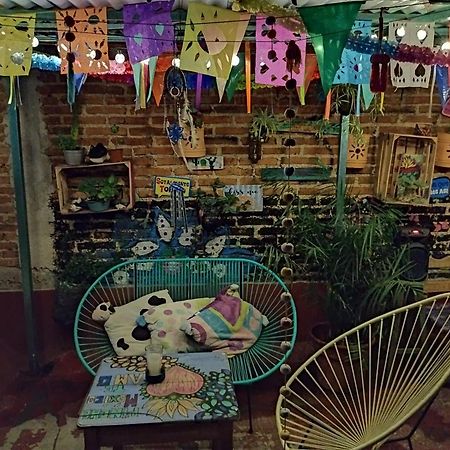 Casa Apapacho Hostel San Cristóbal de Las Casas Zewnętrze zdjęcie